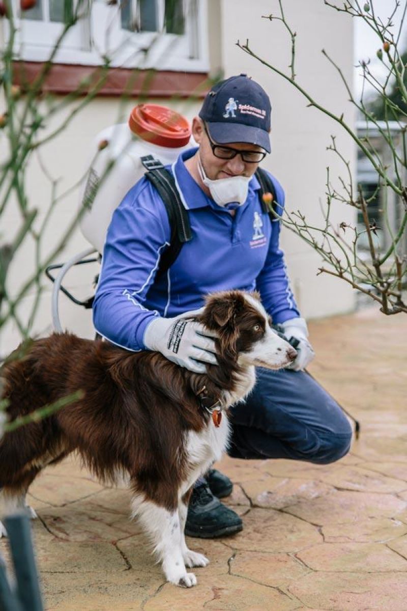 Eco-friendly Pest control with Spiderman SE